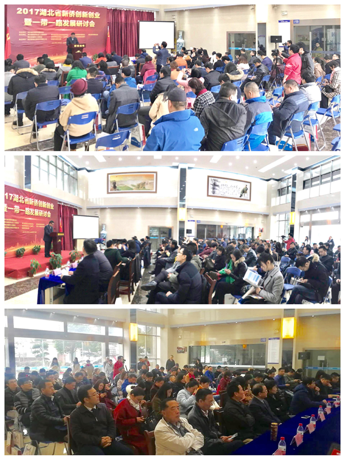 2017湖北省新侨创新创业暨一带一路发展研讨会