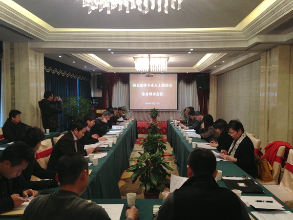 陈义红博士出席湖北新侨会一届二次常务理事会议
