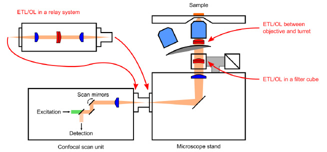 在典型的倒置激光扫描显微镜中实现基于 ETL 的聚焦的三种不同方案